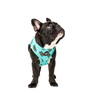 The VB: Reversible Harness