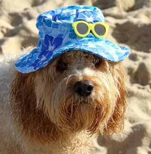 Hawaiian Hat with Sunglasses