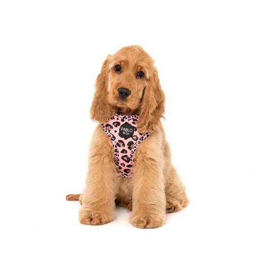 Pink Leopard: Adjustable Harness